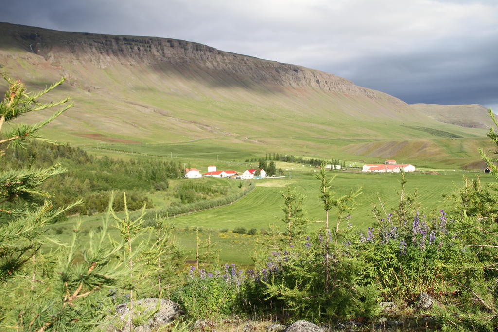 Guesthouse Hof In Vatnsdalur Hof i Vatnsdal Екстериор снимка