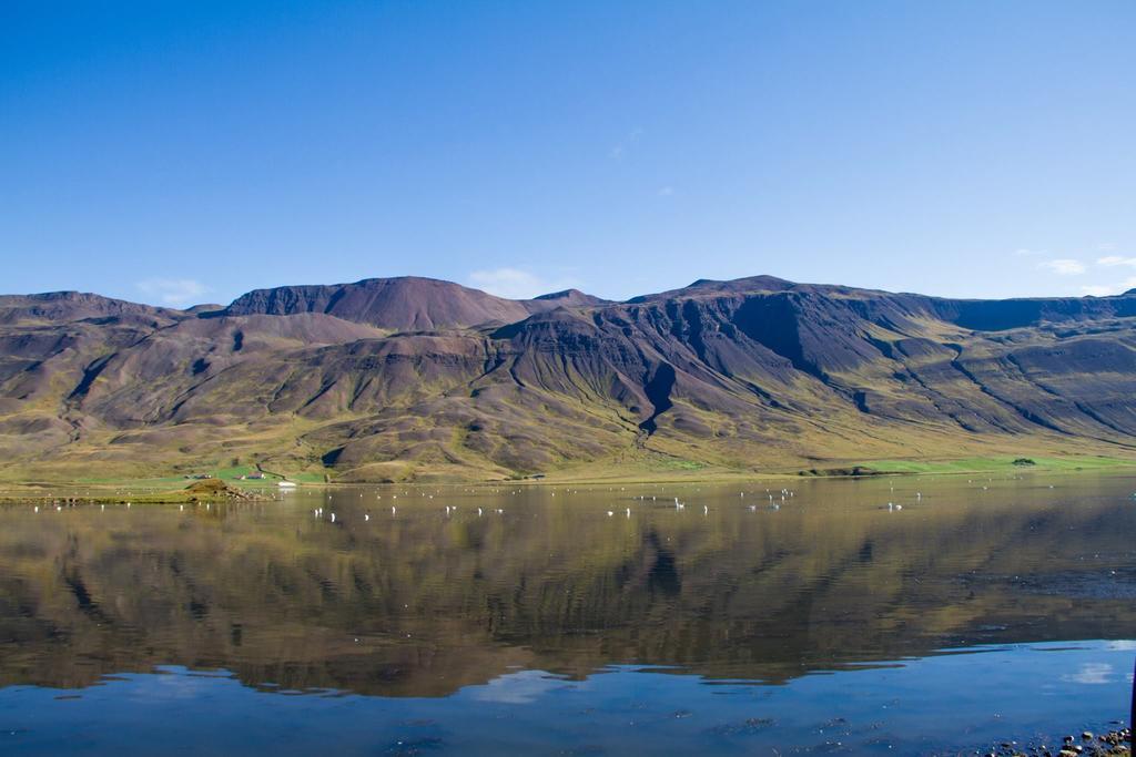 Guesthouse Hof In Vatnsdalur Hof i Vatnsdal Екстериор снимка