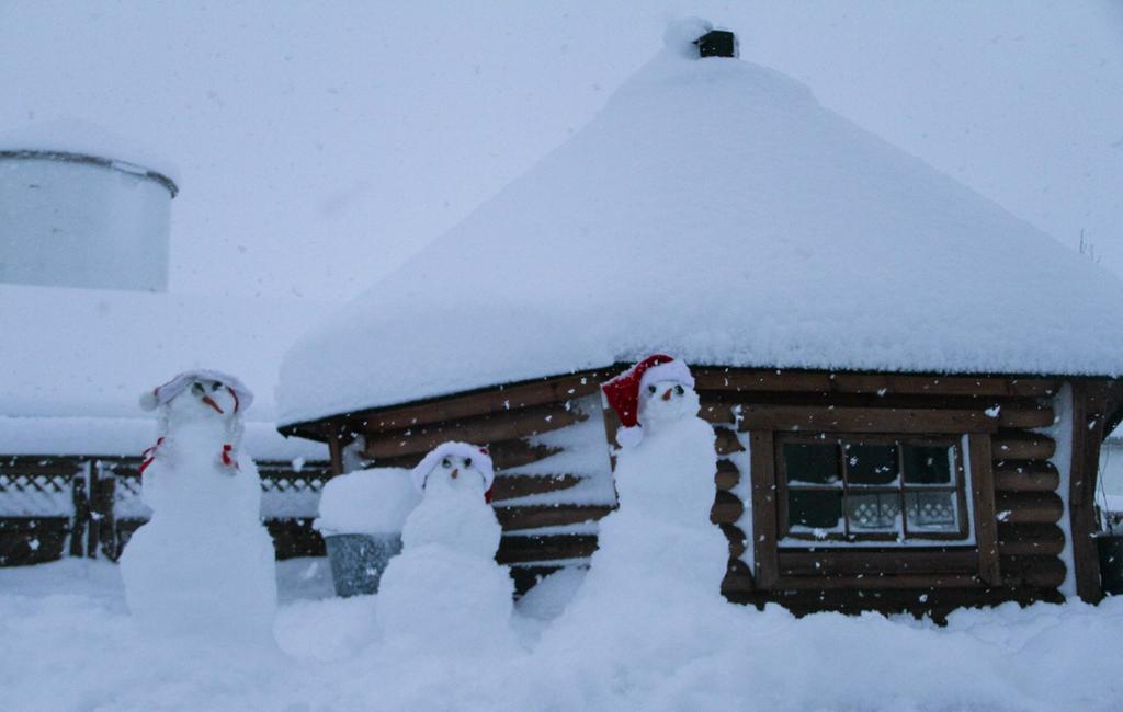 Guesthouse Hof In Vatnsdalur Hof i Vatnsdal Екстериор снимка